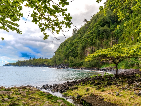 Sainte-Rose Réunion Island