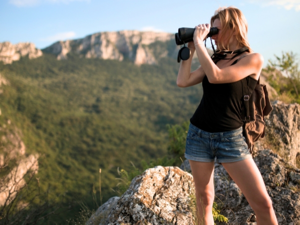 An Avian Adventure in Reunion Island for Birdwatchers
