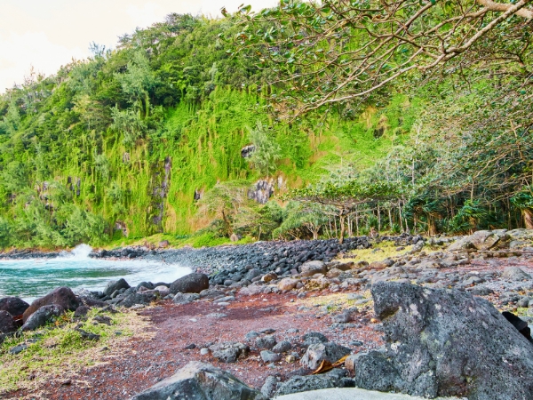 Driving to Anse des Cascades: Route and Travel Tips